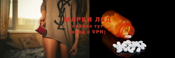 ПСИЛОЦИБИНОВЫЕ ГРИБЫ Володарск