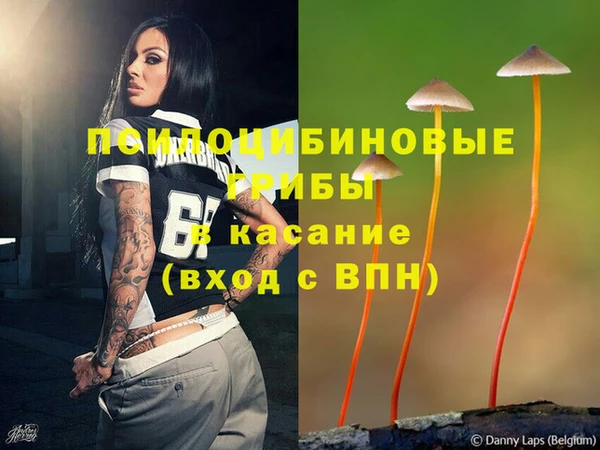 ПСИЛОЦИБИНОВЫЕ ГРИБЫ Володарск
