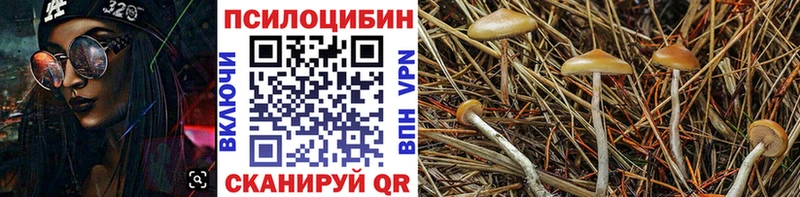 Купить  Конаково  Галлюциногенные грибы мицелий 